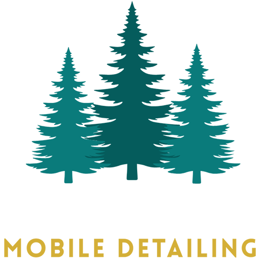 Version-Logo sprucedetailing logo