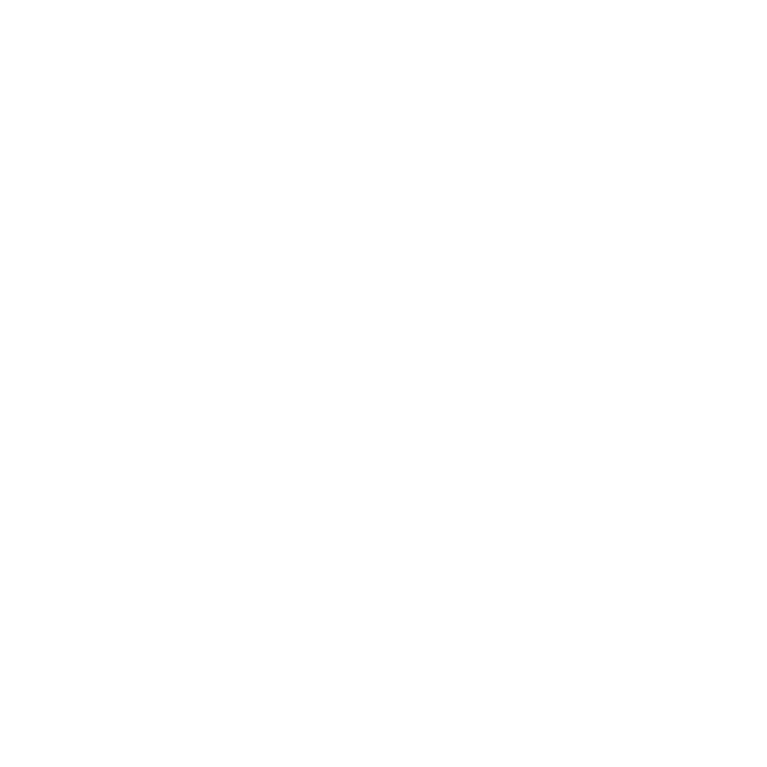 Truck Detailing Denver Icon 